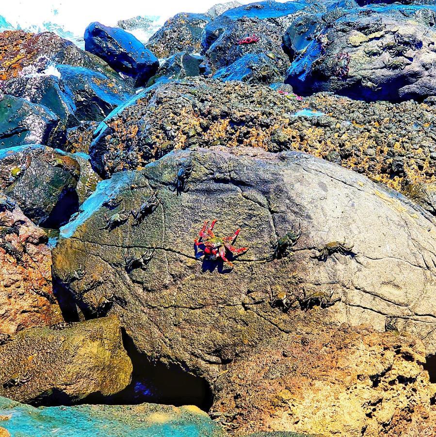 "The Red Crab Studio" By Bbhome At Gran Canaria Airport - Wifi 300 Mbps El Burrero Extérieur photo
